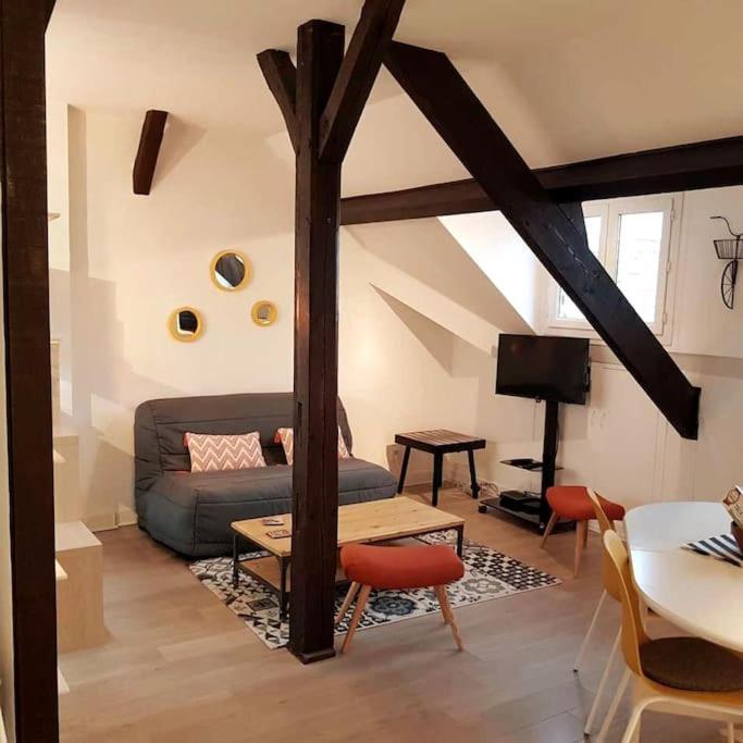 Plein Centre Tres Grand Apartment *