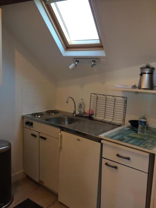 Plein Centre Tres Grand Apartment