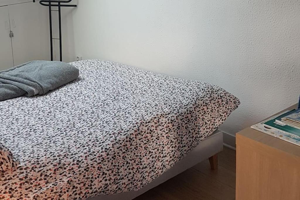 Plein Centre Tres Grand Apartment *
